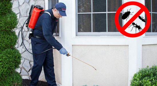 Tercan Akrep İlaçlama böcek ilaçlama ve haşere kontrolü — ilaclama-tr.com
